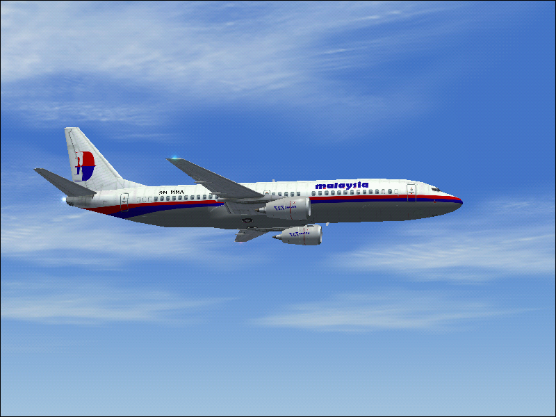 Microsoft Flight Simulator