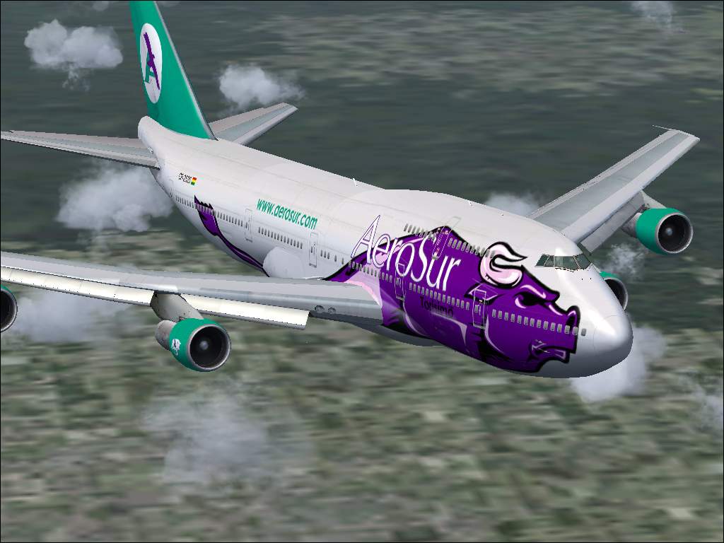 Microsoft Flight Simulator
