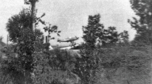 mistel-saint-dizier