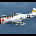FS 2004 Republic P-47D Thunderbolt Hun Hunter XIV